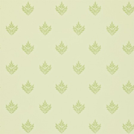 Picture of Pearwood Ivory/Thyme - DMORPE102