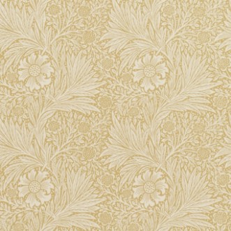 Image de Marigold Cowslip - 210370