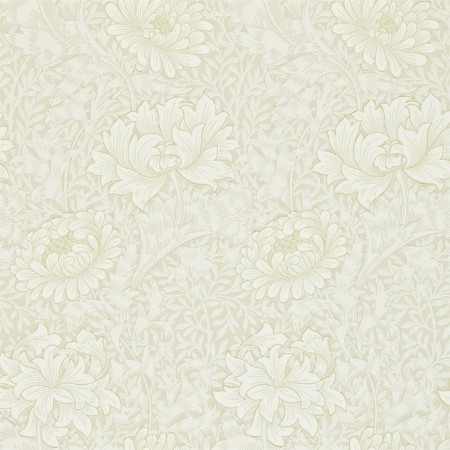 Picture of Chrysanthemum Chalk - 212546