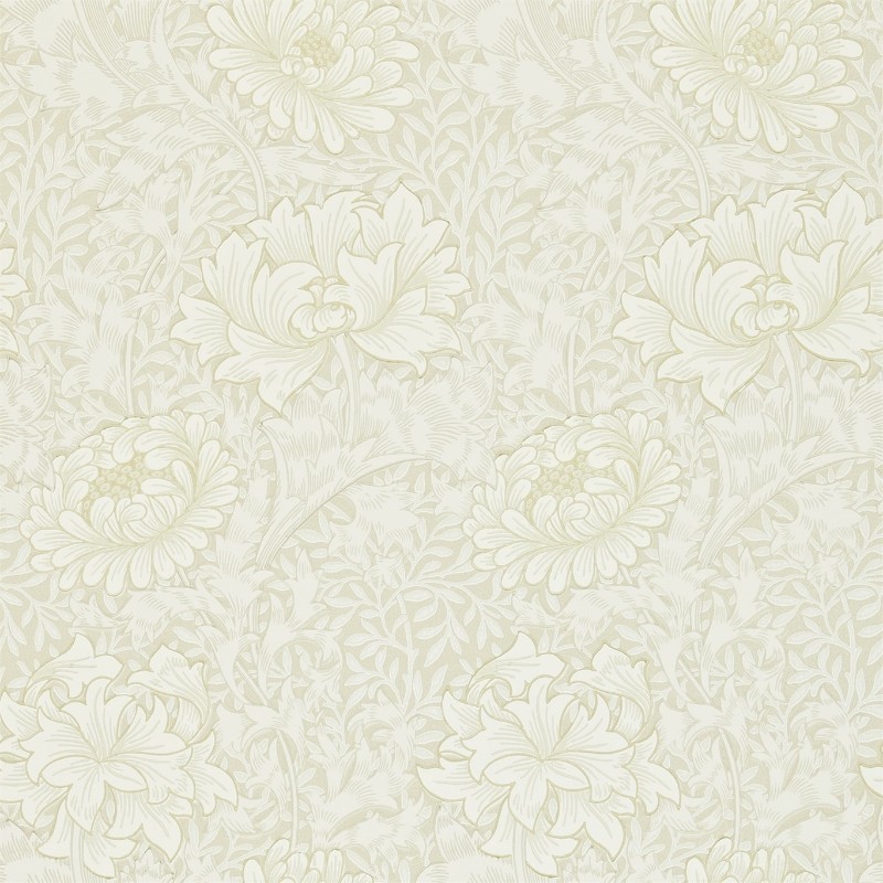 Picture of Chrysanthemum Chalk - 212546