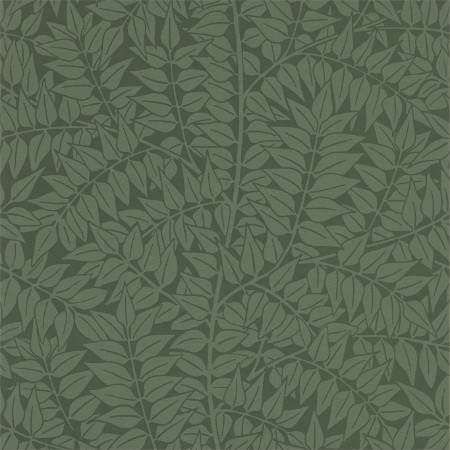 Picture of Branch Forest - 210374