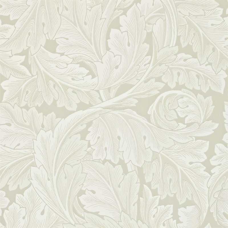 Picture of Acanthus Chalk - 212554