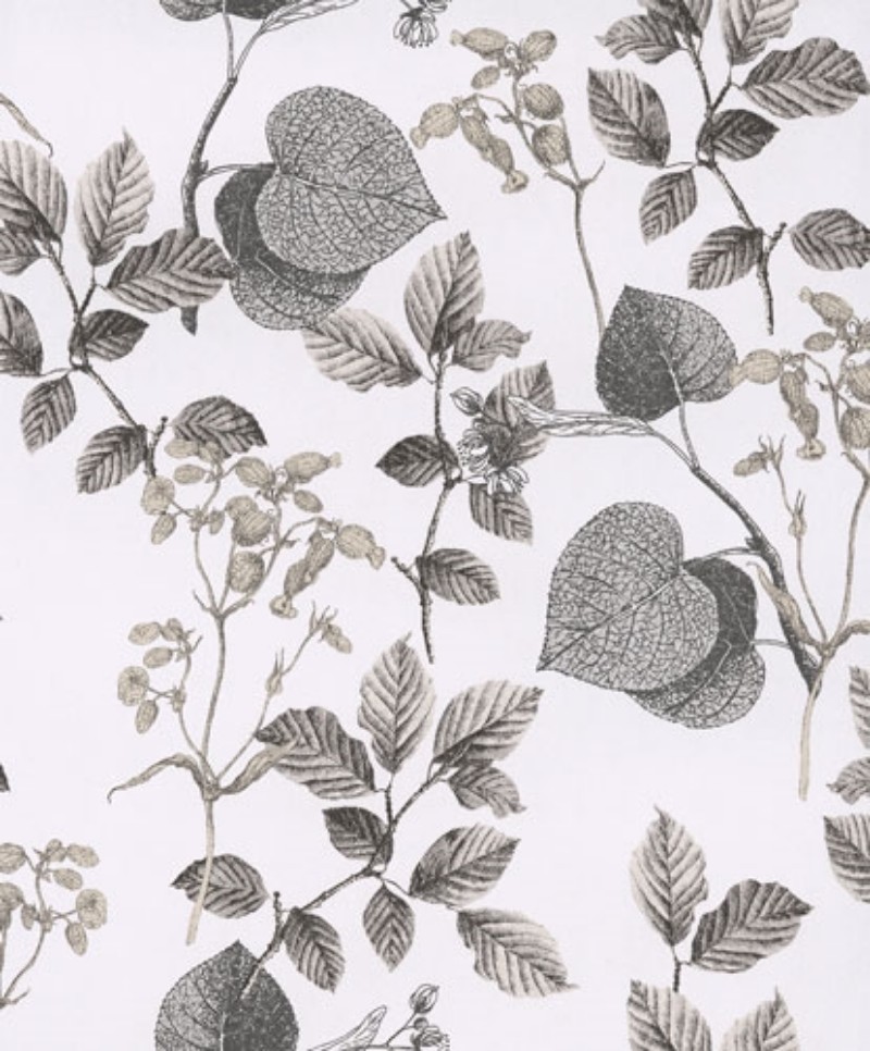 Picture of Podium POD002