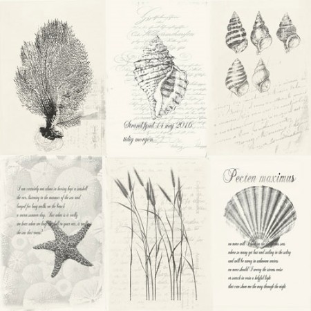 Bild på Skagen - 21020