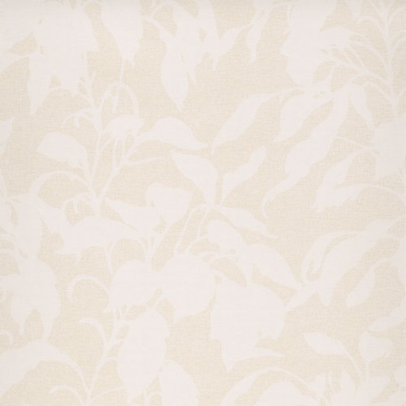 Bild på Pollux Angora - RIA902