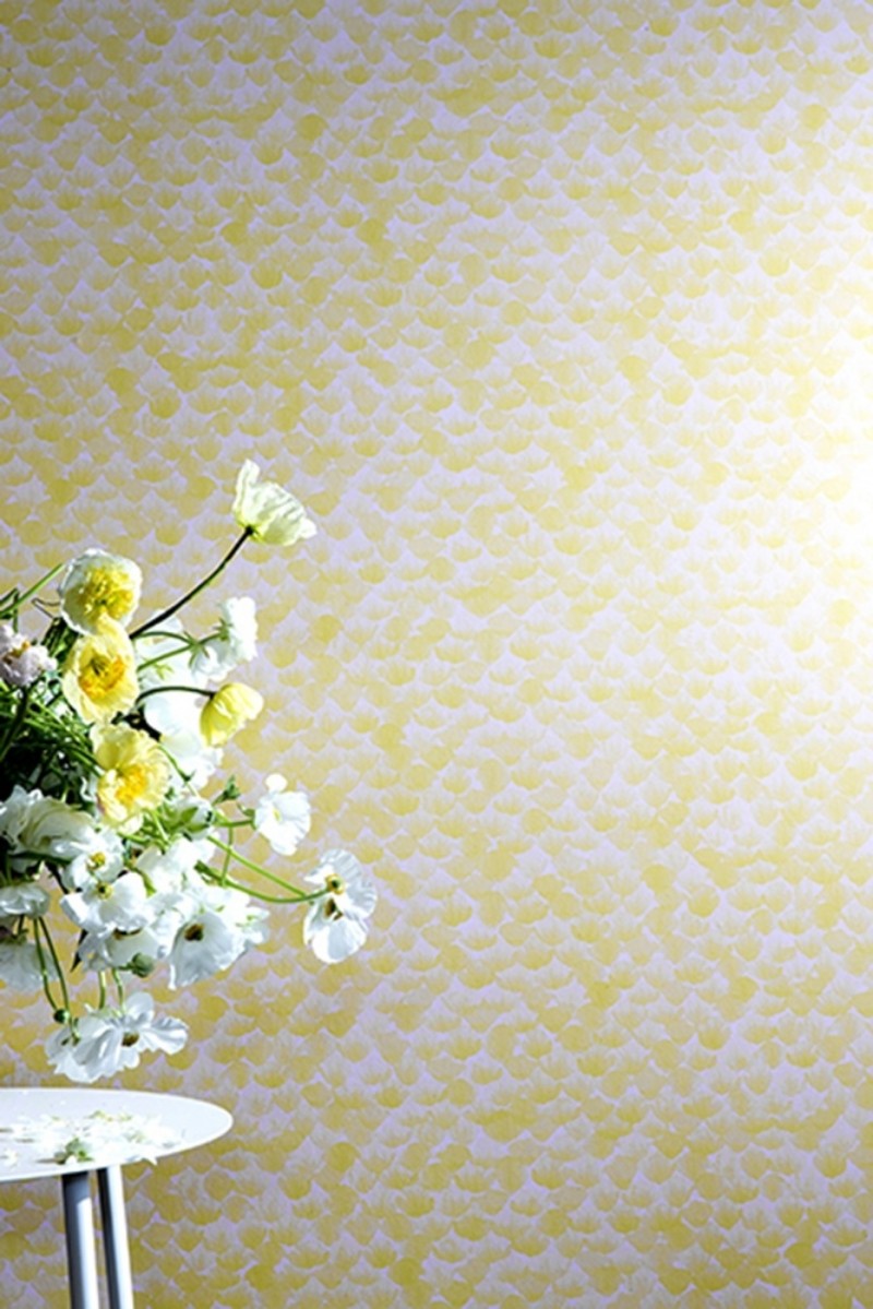 Picture of Poppy Sorbet - WP2410