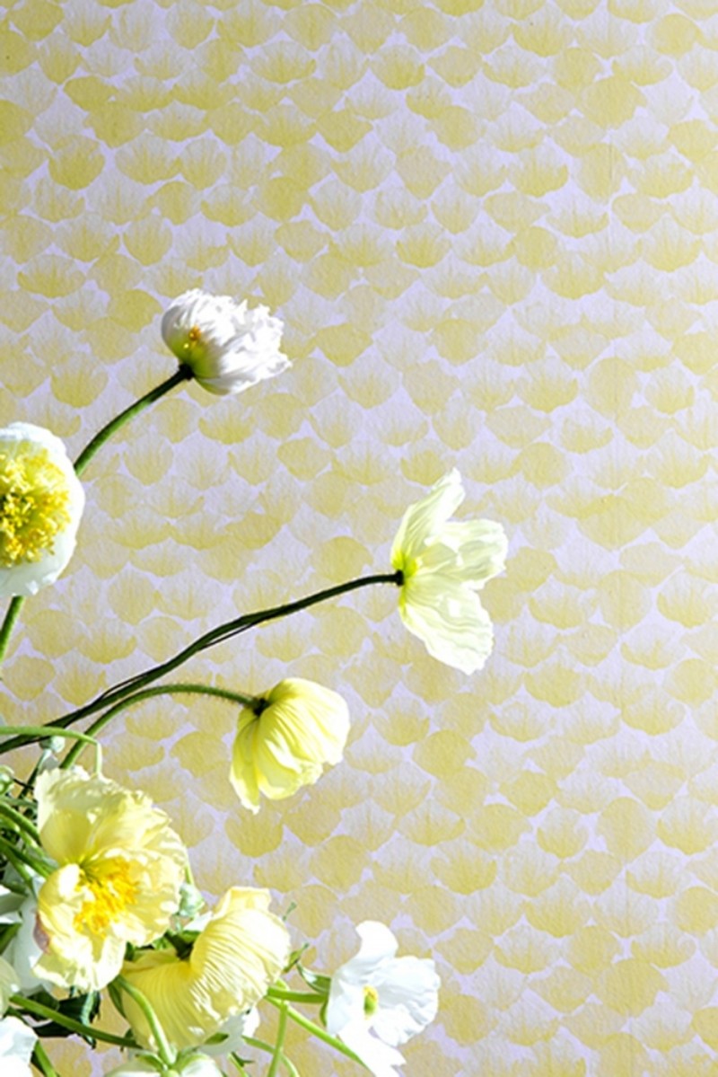 Picture of Poppy Sorbet - WP2410