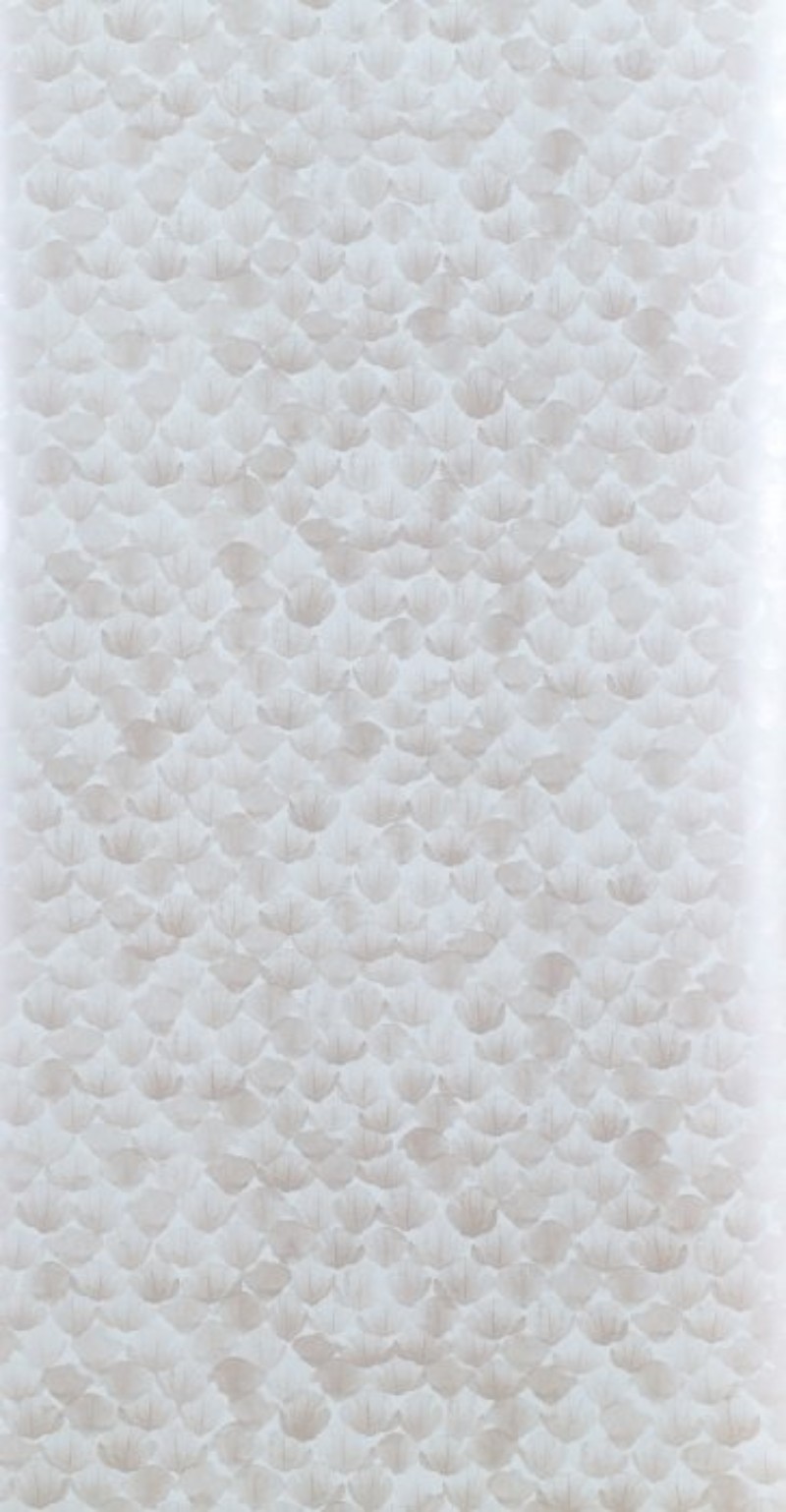 Bild på Poppy Aqua - WP2409