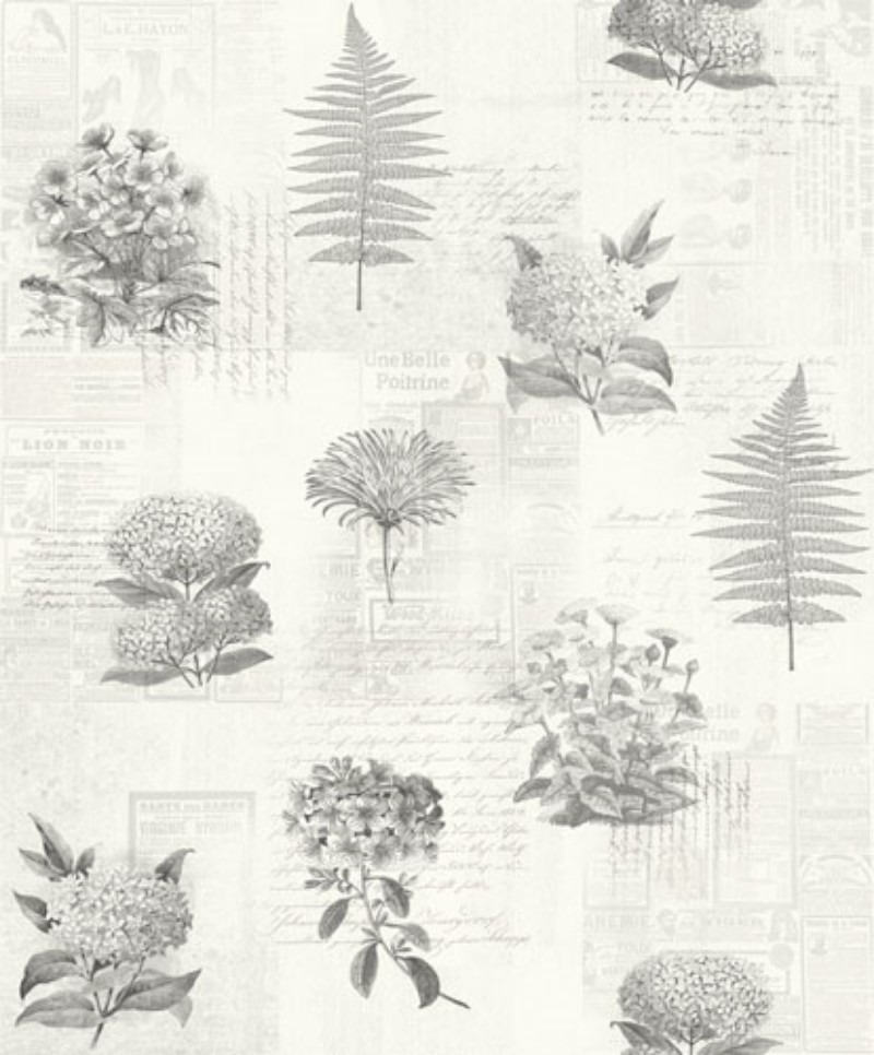 Picture of Botanik - 218123