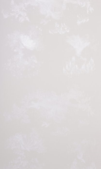 Afbeeldingen van Toile Mesdames Natural - WP2045