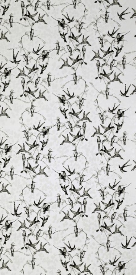 Afbeeldingen van Rainbirds Natural/Black - WP2101