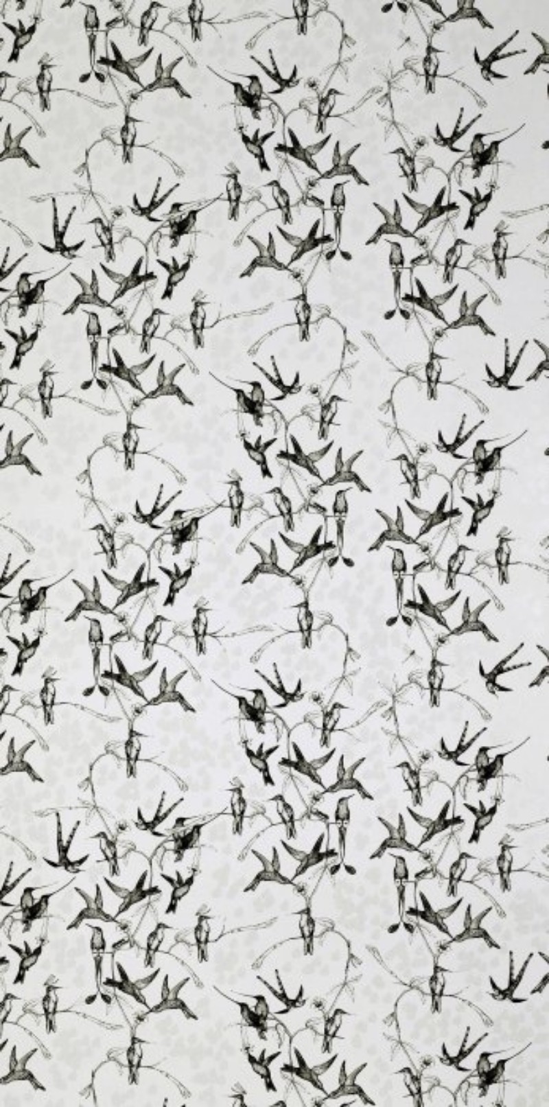 Picture of Rainbirds Natural/Black - WP2101