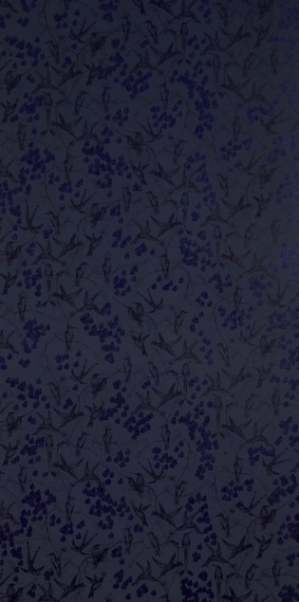 Picture of Rainbirds Black/Navy - WP2105