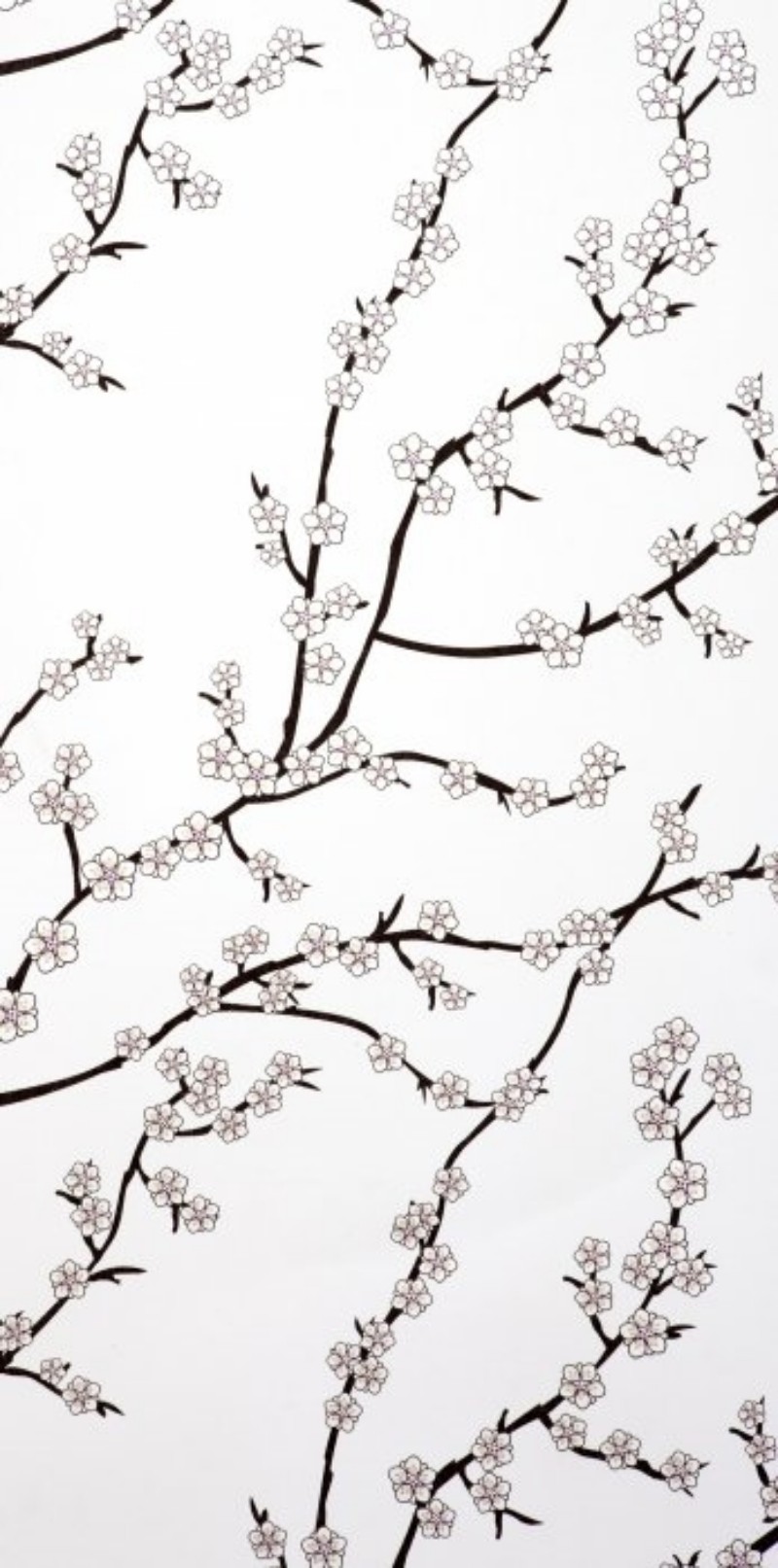 Picture of Kyoto White - WP1041