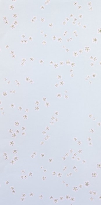 Image de Falling Flowers Sky - WP1046