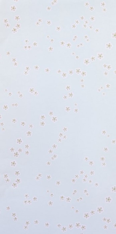 Afbeeldingen van Falling Flowers Sky - WP1046