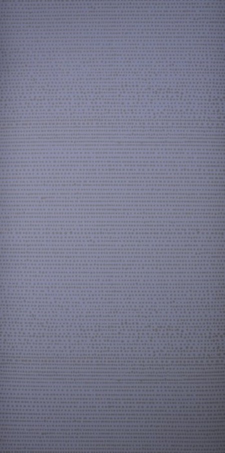 Afbeeldingen van Dribble Denim - WP2185