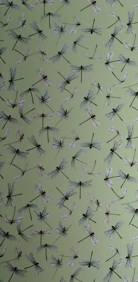 Afbeeldingen van Dragonfly Celadon - WP2168