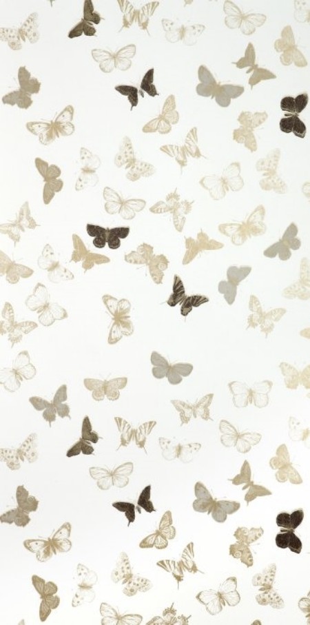 Afbeeldingen van Butterfly White/Brass - WP1096