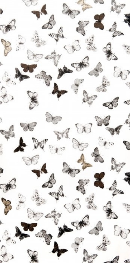 Afbeeldingen van Butterfly White/Black - WP1094