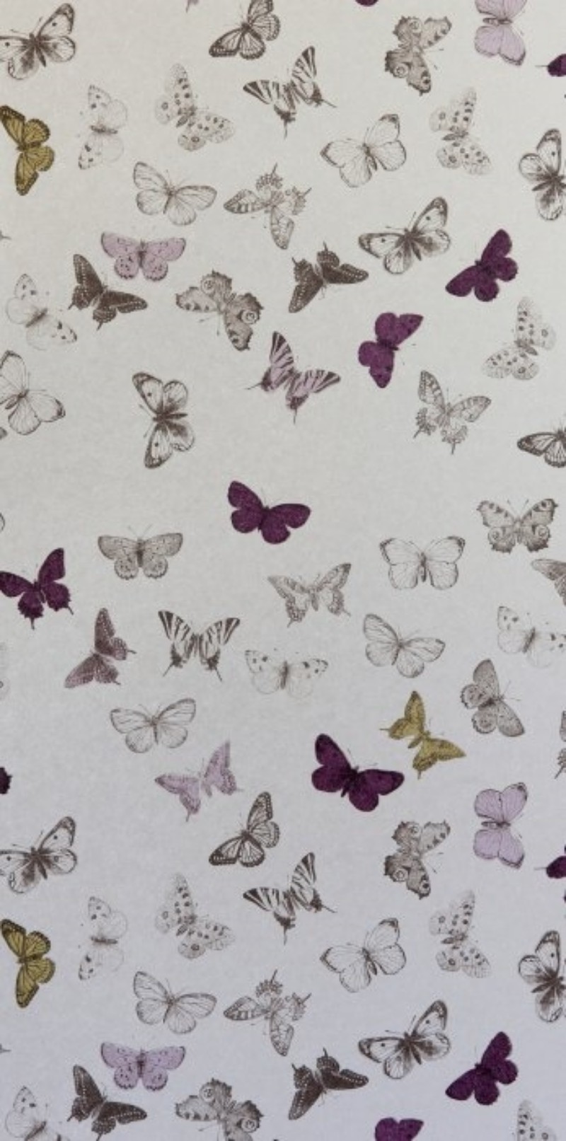 Picture of Butterfly Bronze/Multi - WP1098