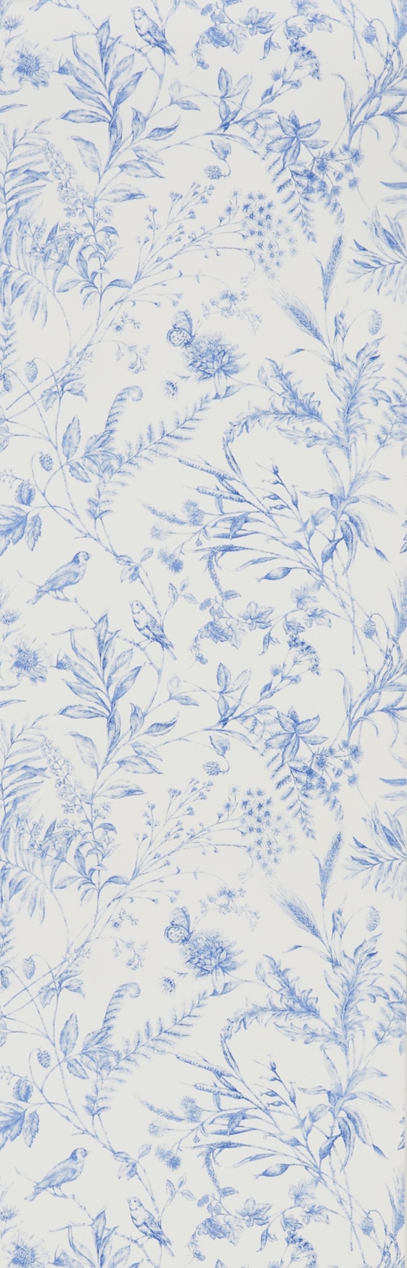 Bild på FERN TOILE - Bluebell - PRL710/02
