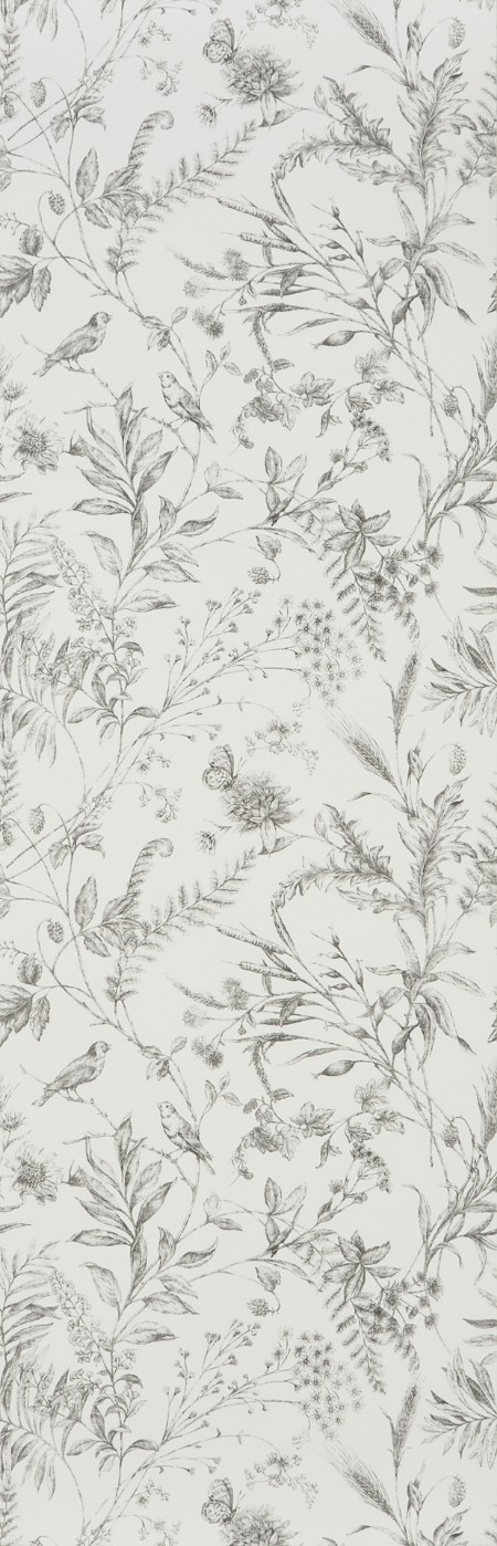 Afbeeldingen van FERN TOILE - Pencil - PRL710/03