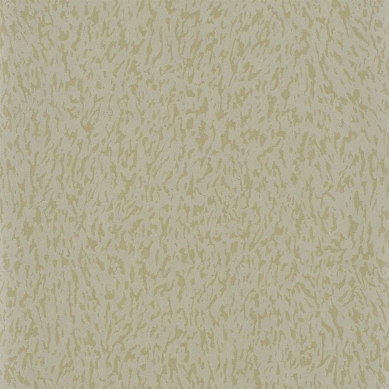 Afbeeldingen van TORLONIA - GOLD - PDG693/05