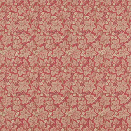 Image de Bramble Red - DM3W214697