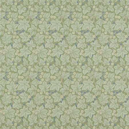 Image de Bramble Thyme - DM3W214696