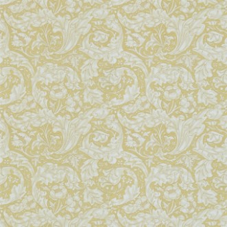 Bild på Bachelors Button Gold - DM3W214737