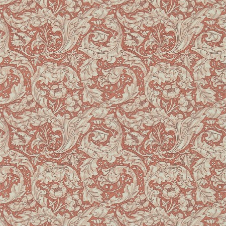 Image de Bachelors Button Russet - DM3W214734