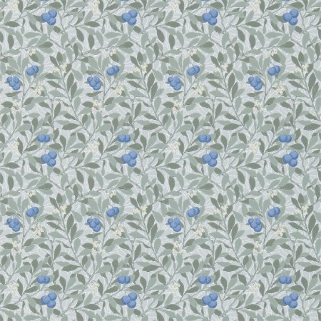 Image de Arbutus Silver/Cobalt - DM3W214721