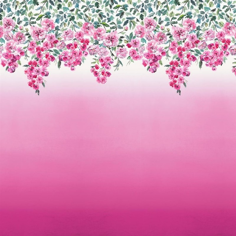 Picture of Trailing Rose - Peony - PDG656/01