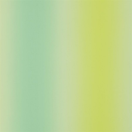 Image de Surabaya - Acacia - P631/08