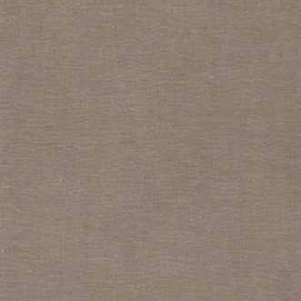 Bild på Tropics - 219957