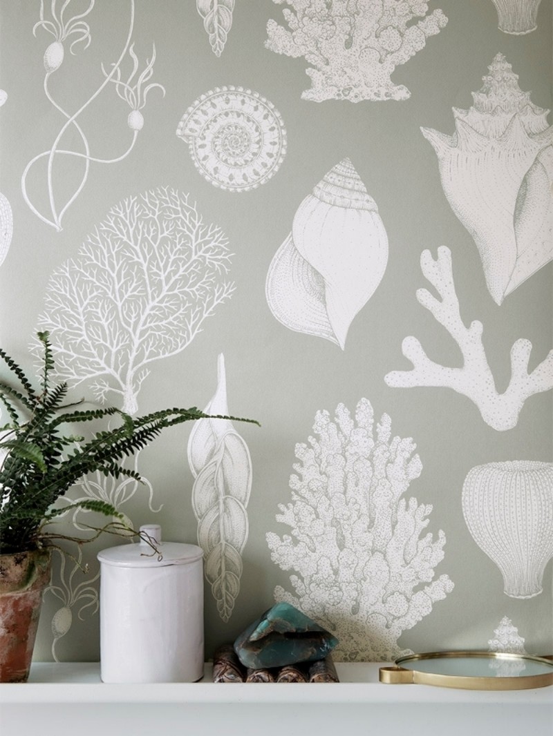 Bild på Shells - Aqua - 100236-675