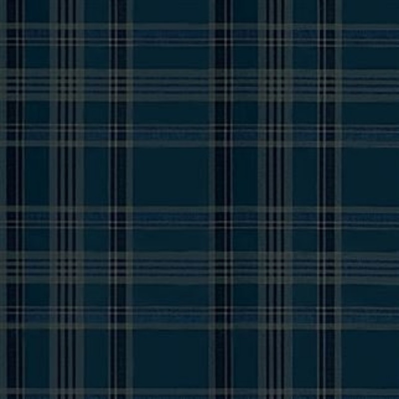 Picture of DEERPATH TRAIL PLAID INDIGO - PRL5020/04