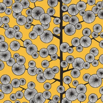 Bild på Cotton Tree Sunray - MISP1240