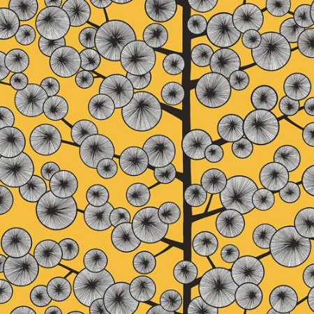 Picture of Cotton Tree Sunray - MISP1240