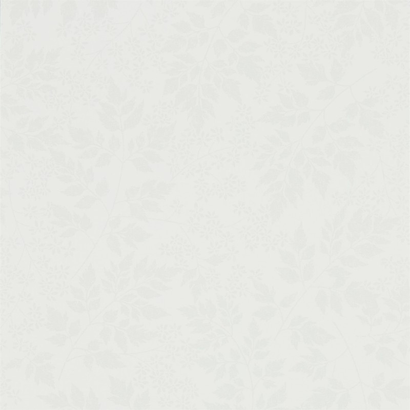 Picture of Spring Leaves Dove - 216373