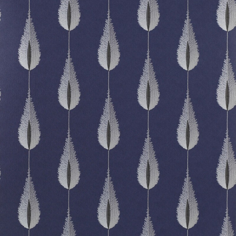 Image de Plato - J156W-01