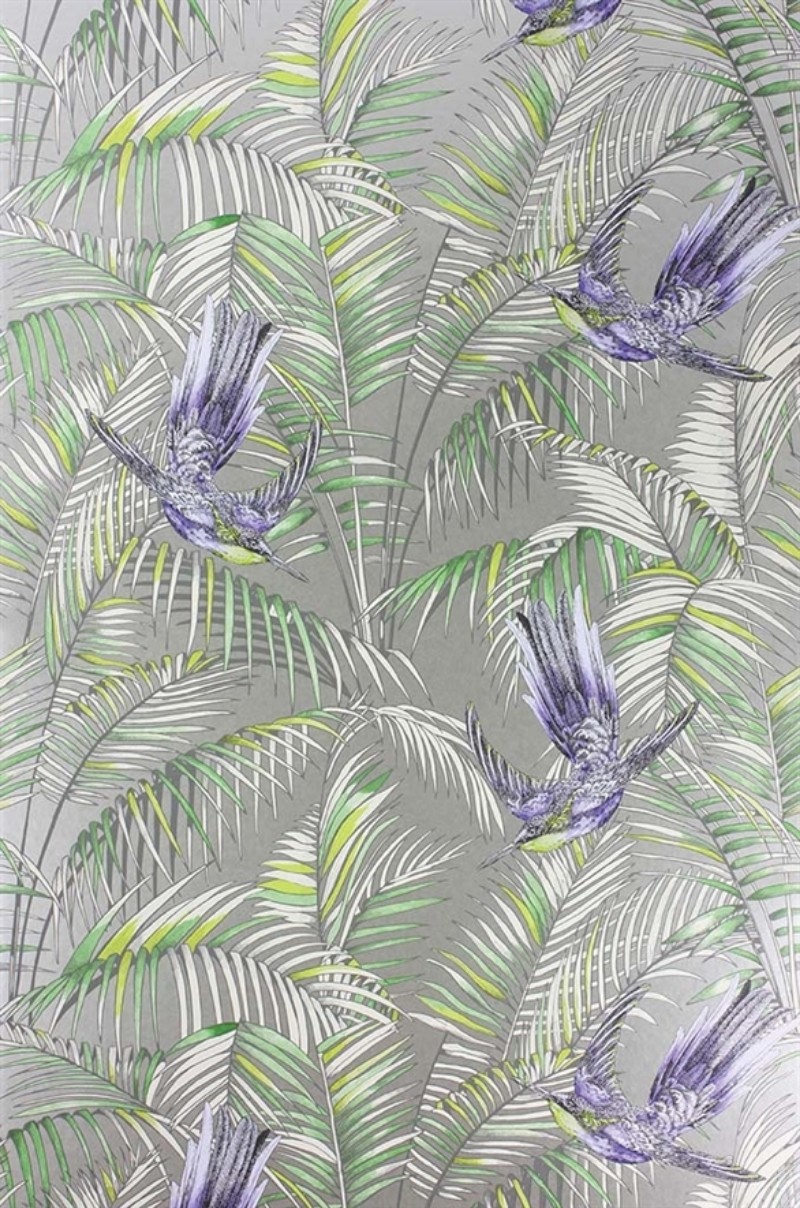 Picture of Sunbird - W6543-01