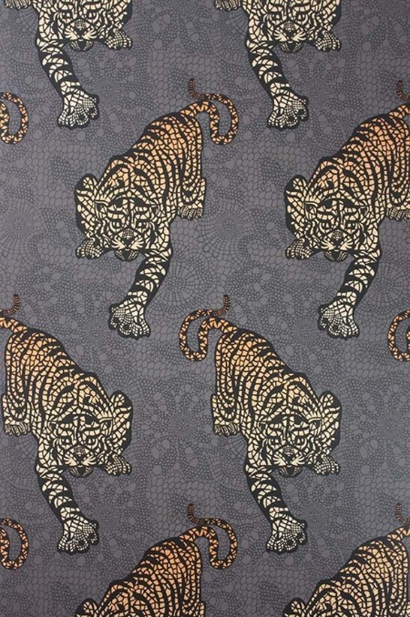 Image de Tyger Tyger - W6542-01