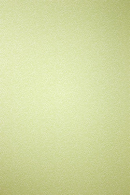 Picture of Oriole - W6491-05