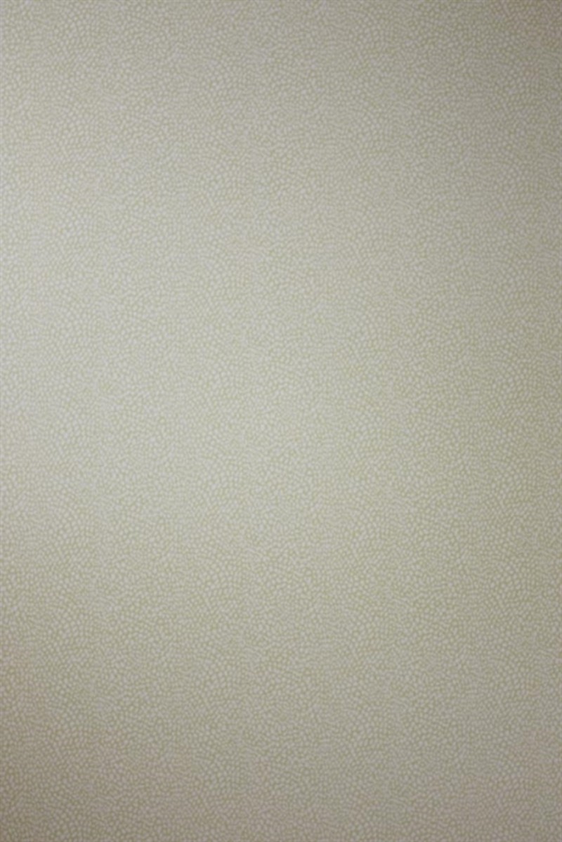 Picture of Oriole - W6491-04