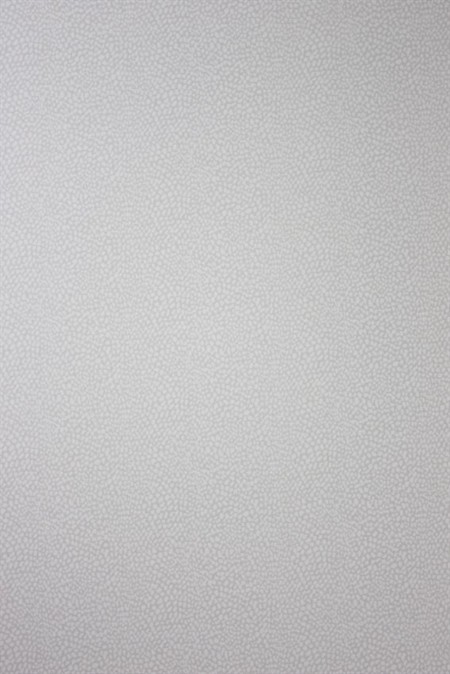 Picture of Oriole - W6491-03