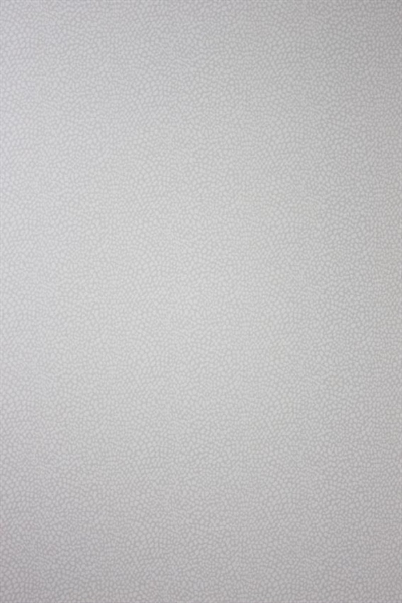 Bild på Oriole - W6491-03