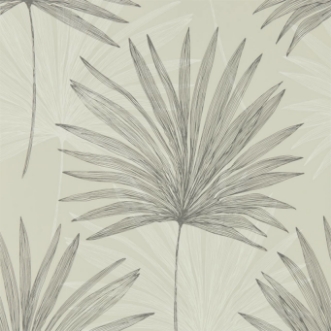 Image de Mitende - HMIW112230