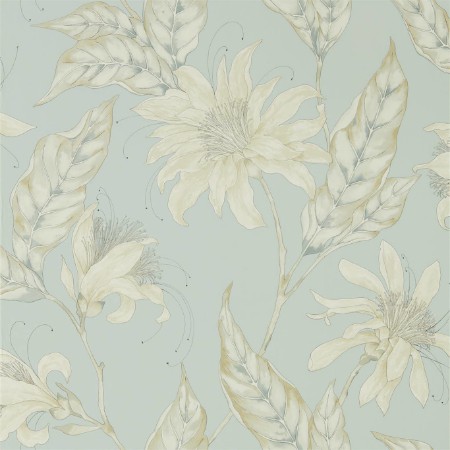 Picture of Ananda - HMIW112235